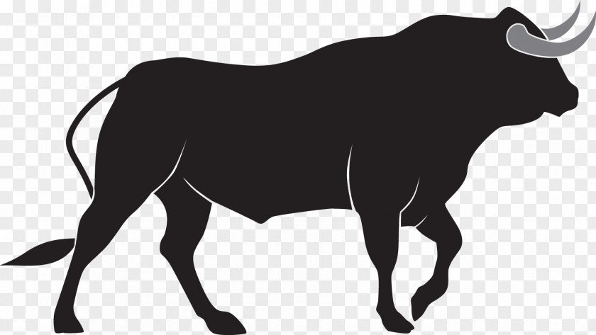 Bull Charging Europe Cattle Taurus PNG
