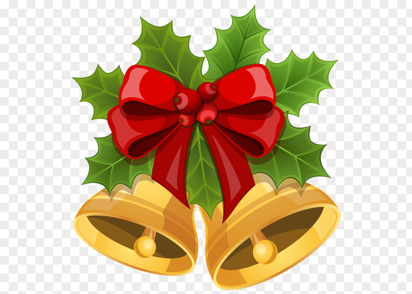 Christmas Decoration Eve Ornament PNG
