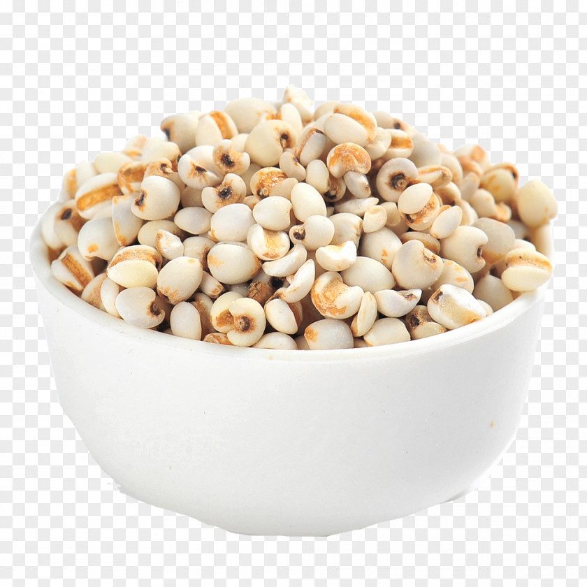 Cup Barley Breakfast Cereal Corn Flakes Cheerios Whole Grain PNG