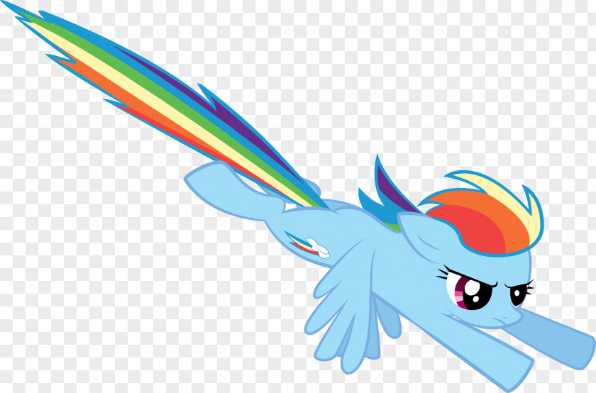 Dash Rainbow My Little Pony Flight PNG
