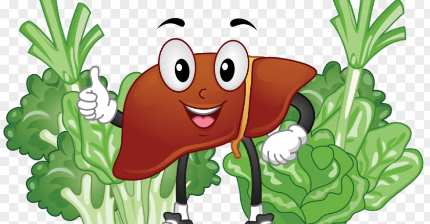 Liver Cartoon Clip Art Illustration Food Image PNG