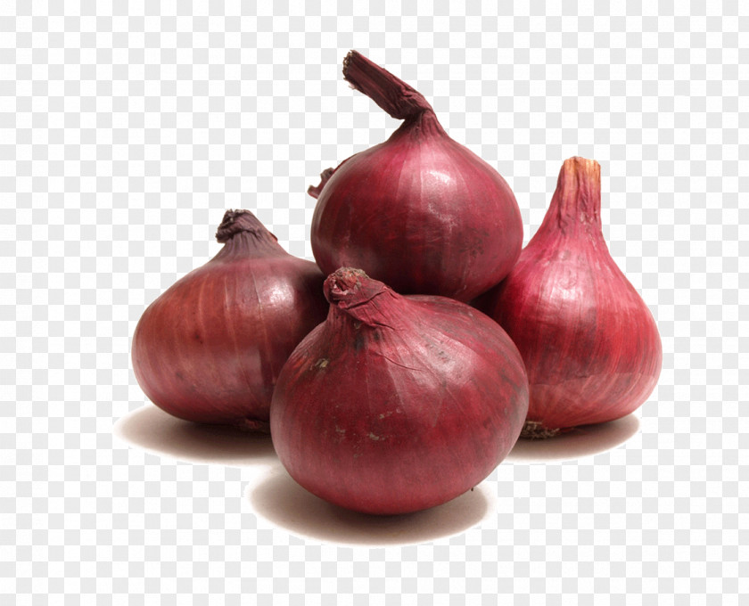 Onion Potato Vegetable Garlic Red PNG