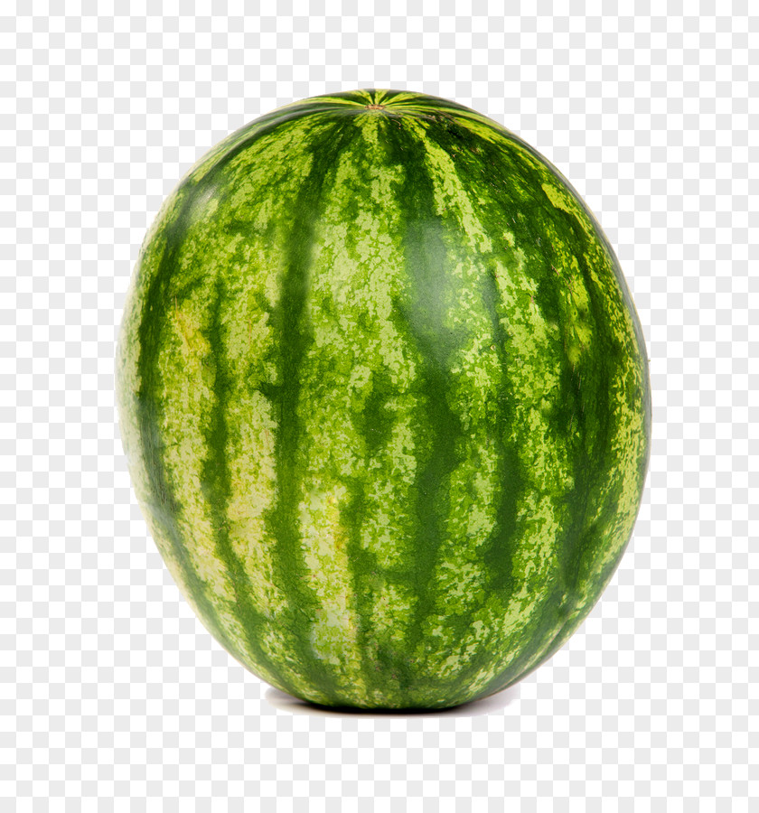 Watermelon Square Granita Veganism PNG