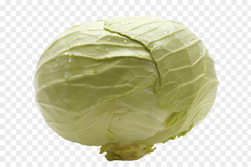 Cabbage Savoy Nimono Vegetable Food PNG