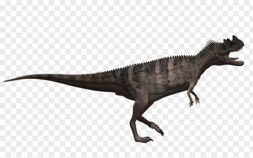 Ceratosaurus Pattern Tyrannosaurus Velociraptor Fauna Animal PNG
