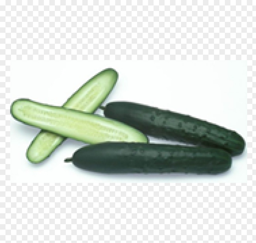Cucumber Pickled Vegetable Fruit Baby Corn PNG