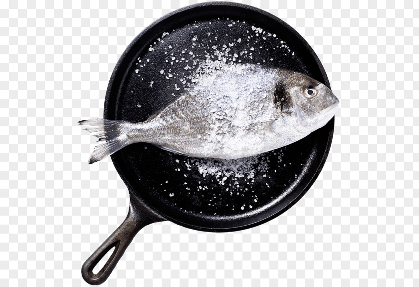 Fish Seafood Dishes Salt PNG