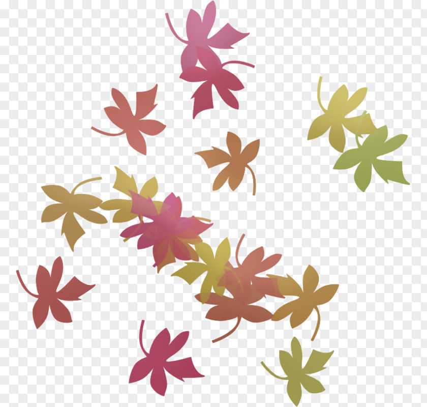 Leaf Floral Design Petal Pattern PNG