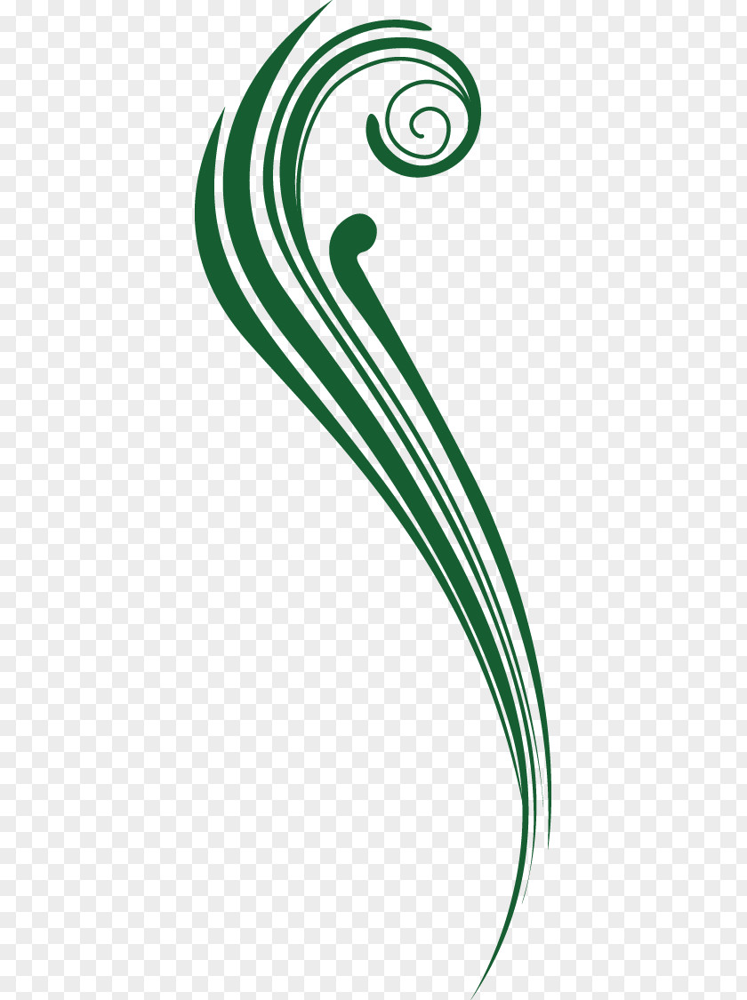 Line,curve Line Curve Euclidean Vector PNG