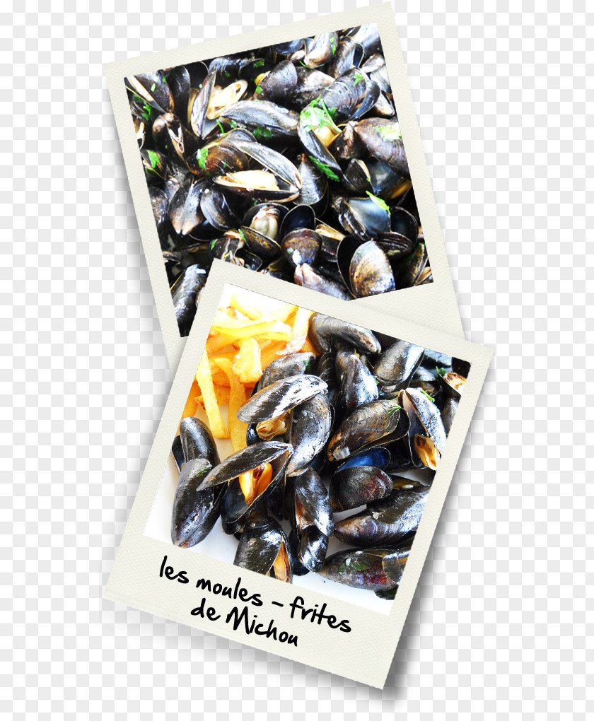 Moules Mussel Moules-frites Dried Fruit Paella Recipe PNG