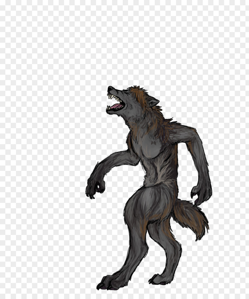 Wolf Coat Of Arms Werewolf Dog Drawing Mammal Image PNG