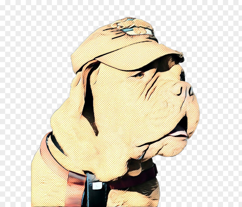 Fawn Nose American Bulldog PNG