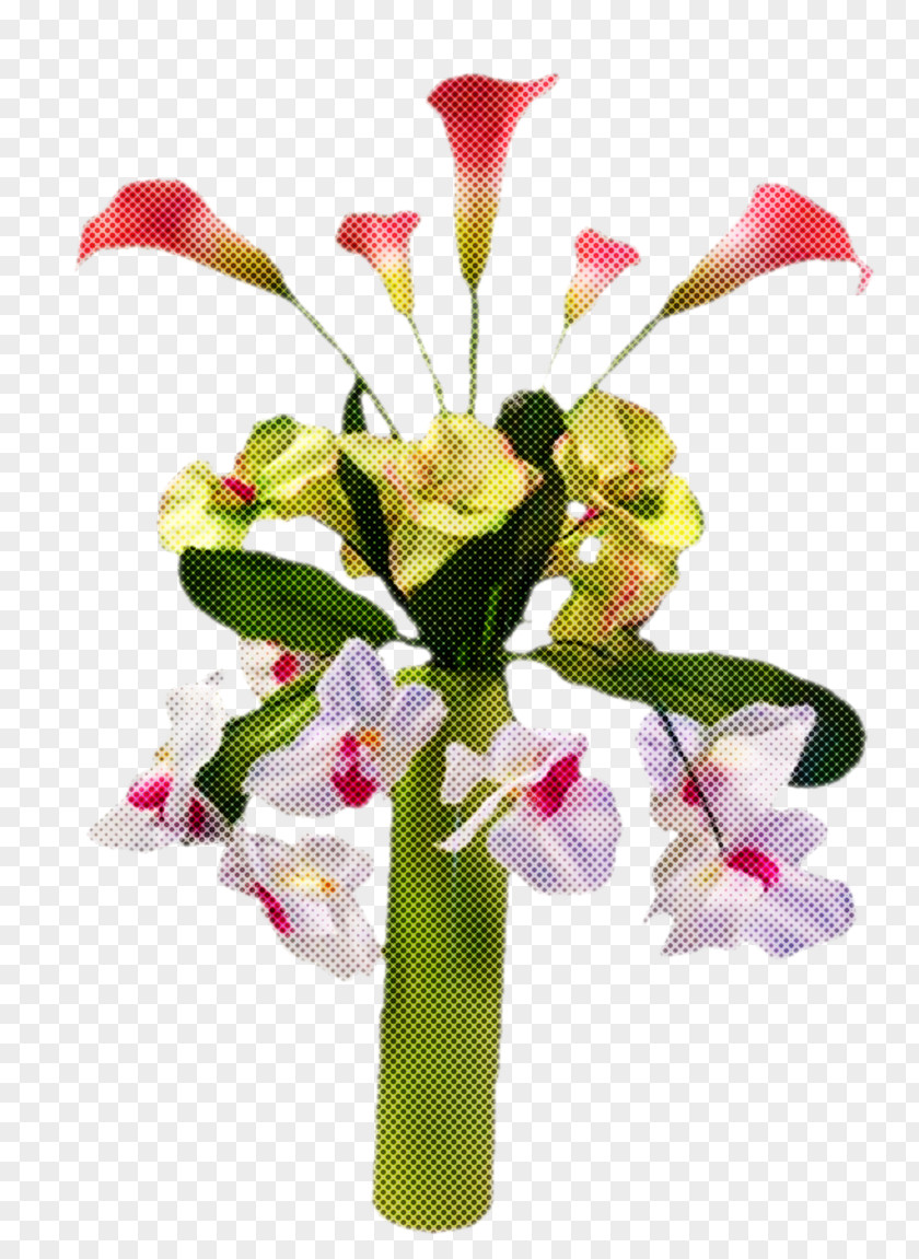 Floral Design PNG