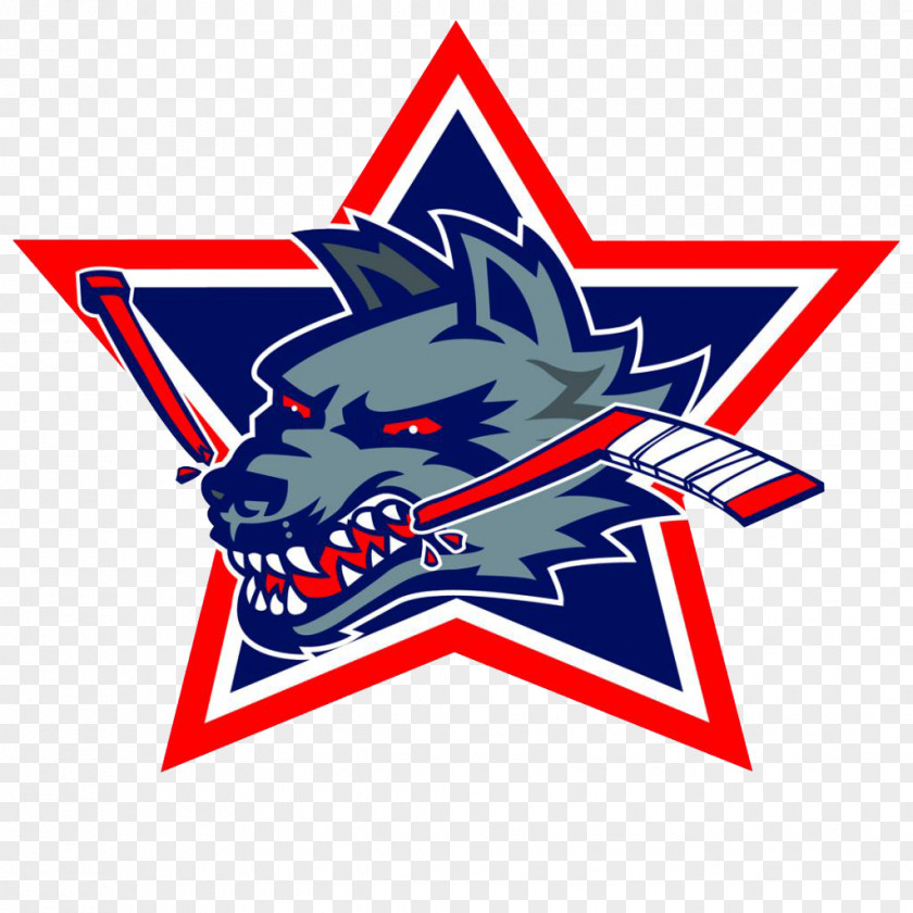 Hockey Hartford Wolf Pack American League Western Whalers Ice PNG