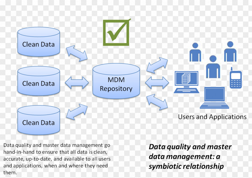 Master Data Management Quality Diagram Cart Before The Horse PNG