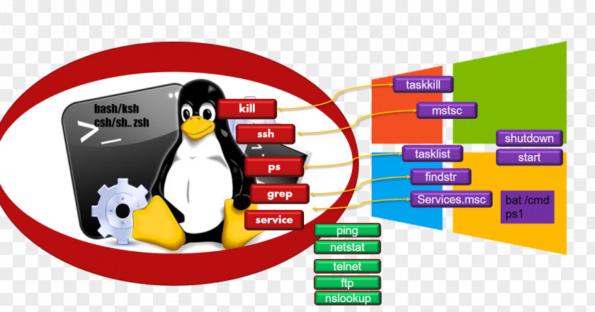 Penguin Product Design Brand Linux PNG