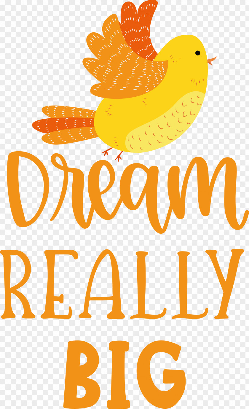 Dream Really Big Catcher PNG