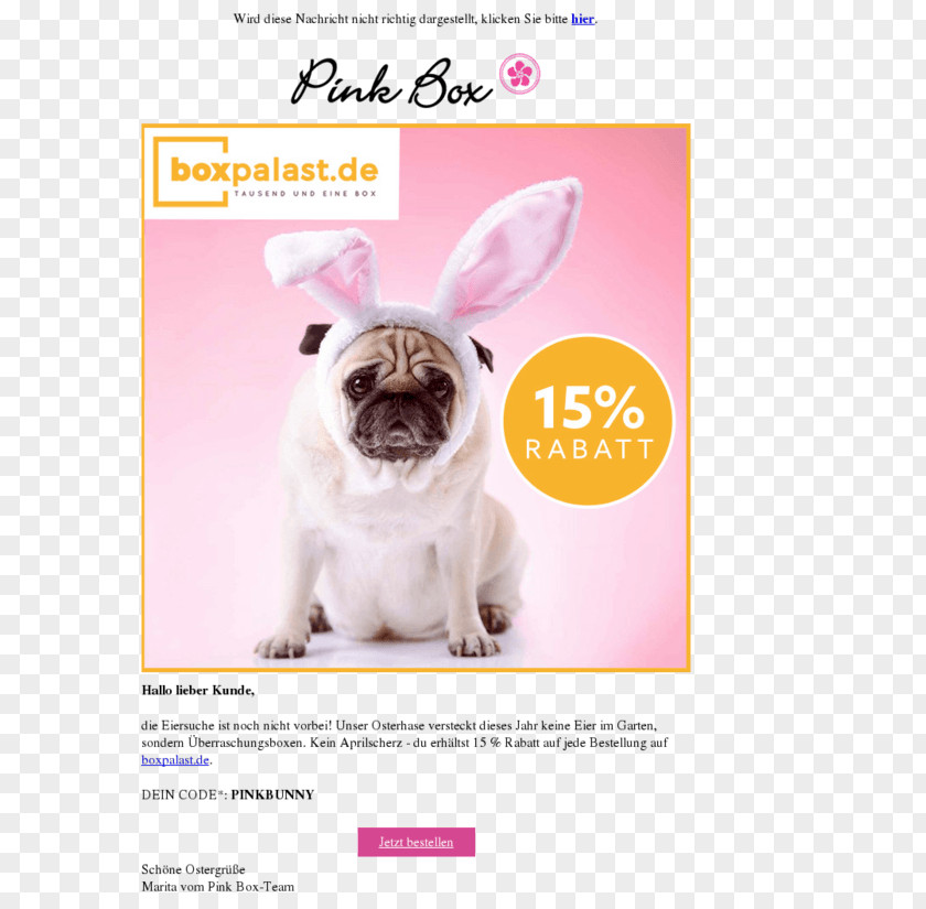 Fall Discounts Pug Easter Bunny Puppy Dog Breed PNG