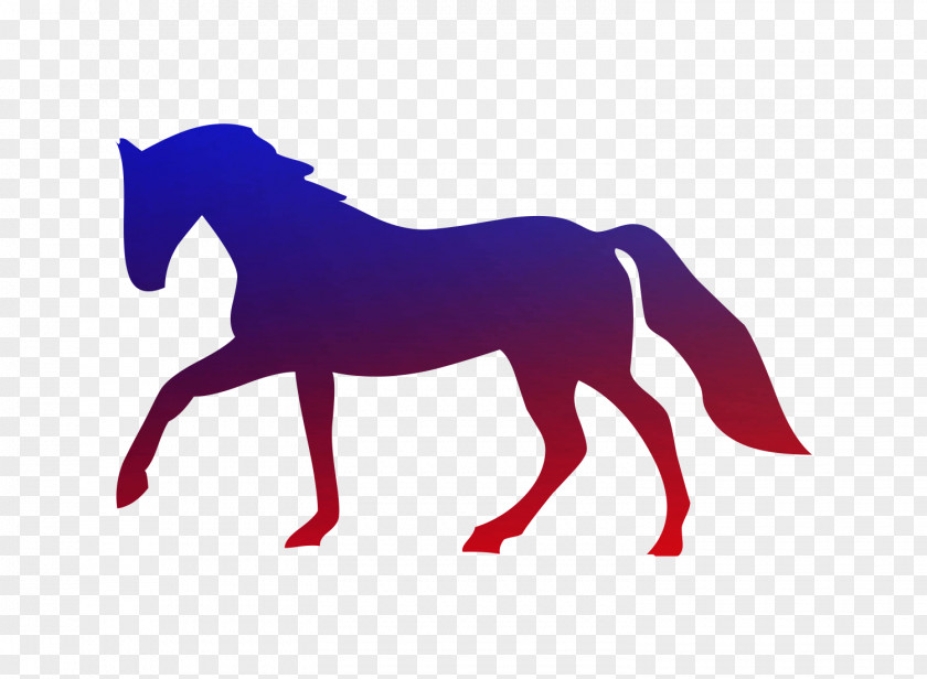 Arabian Horse American Quarter Paint Thoroughbred Standardbred PNG