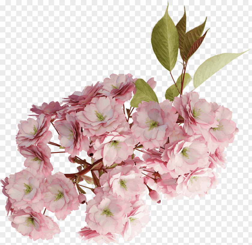Cornales Artificial Flower Cherry Blossom PNG