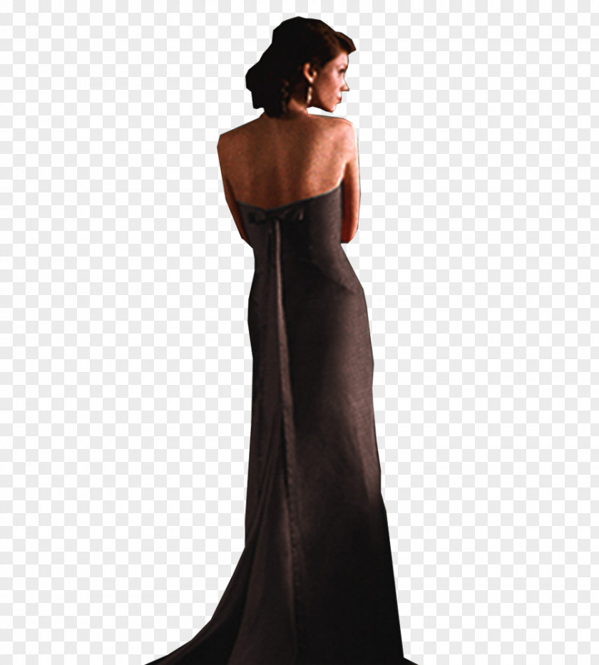 Evening Women Back Dress Gown Icon PNG