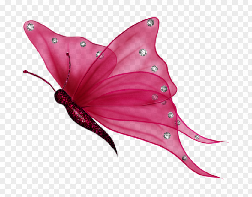 Flying Butterflies Transparent Background Butterfly Clip Art PNG