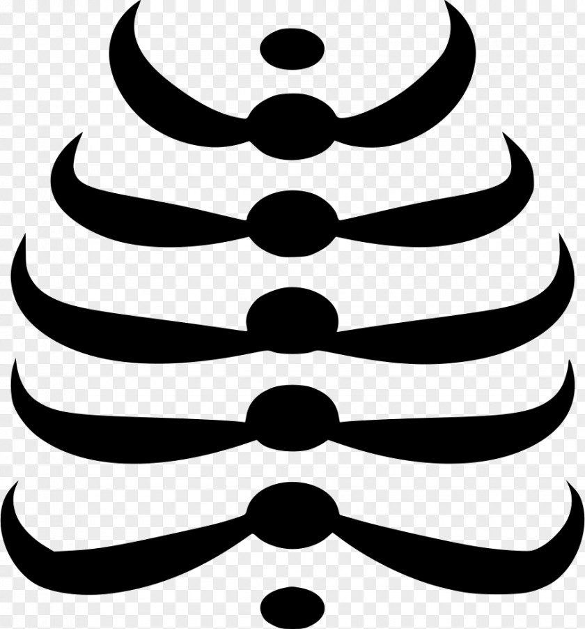 Skeleton Rib Cage Death Clip Art PNG