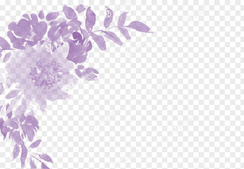 Transparent Wedding Desktop Wallpaper Violet Floral Design Color PNG