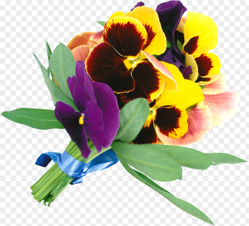Violet Flower Bouquet Pansy PNG