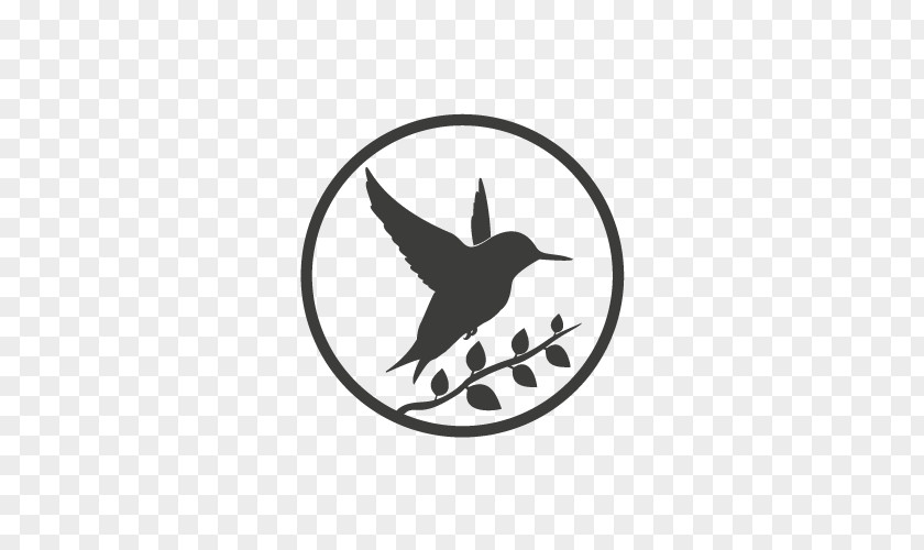 Bird Hummingbird Vector Graphics Illustration Royalty-free PNG