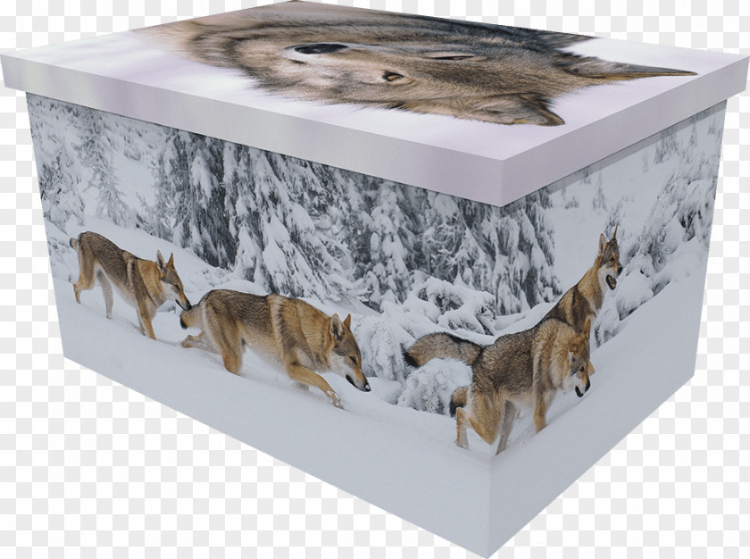 Creative Kitten Coffin Pet Box Horse Dog PNG