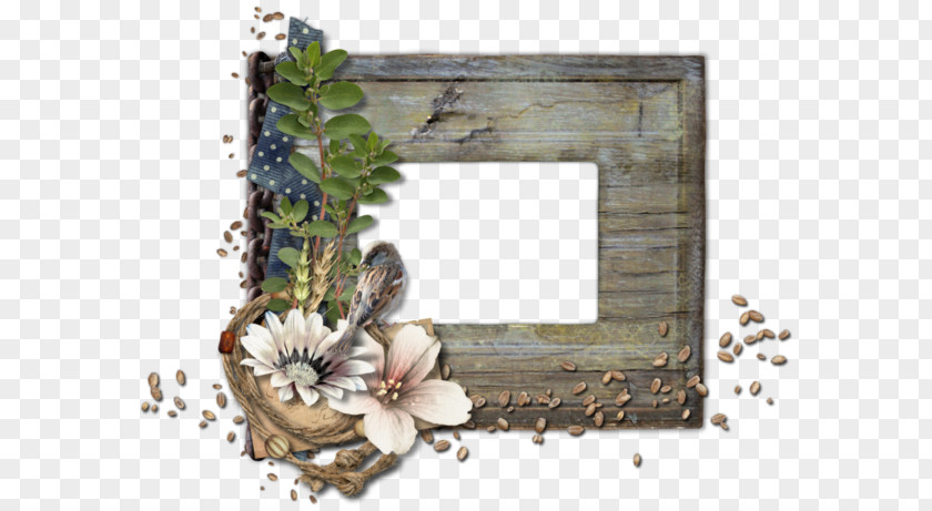Picture Frames Scrapbooking PNG