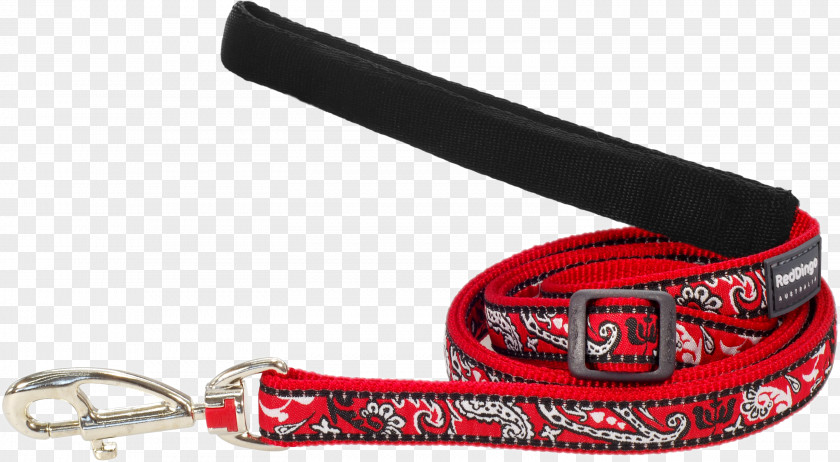 Red Bandana Leash Dingo Collar Dog Harness Samoyed PNG