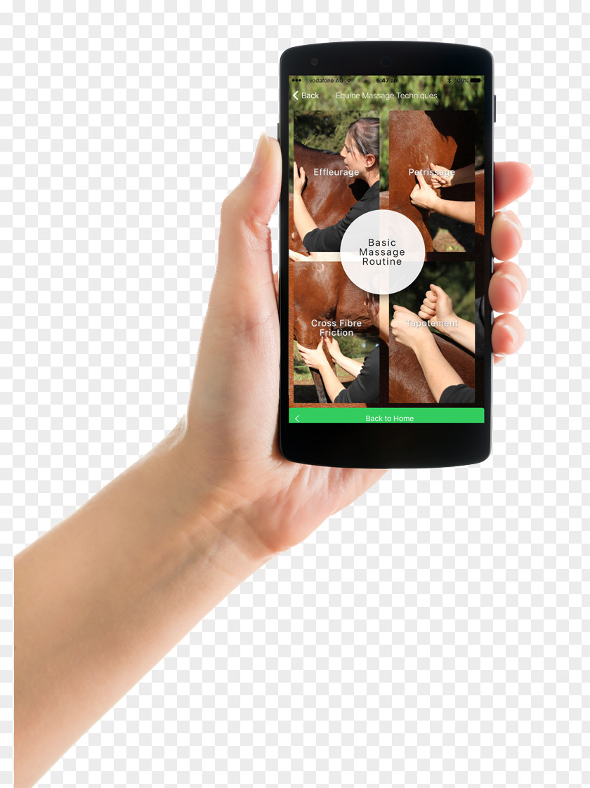 Smartphone Equestricare Course Equine Evaluation Afterpay PNG