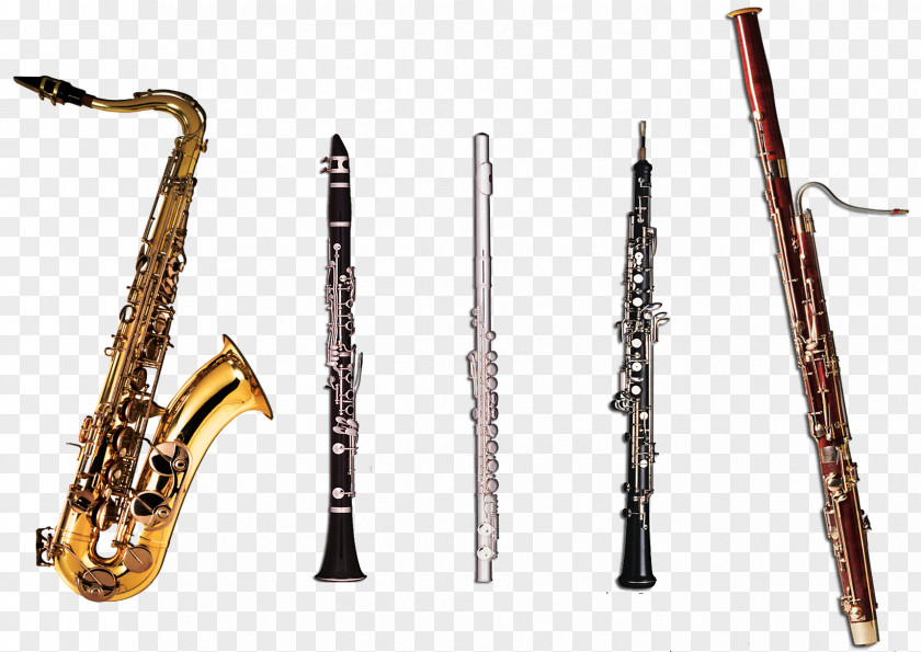 Clarinets Flute Oboe Woodwind Instrument Musical Instruments Family Clarinet Brass PNG