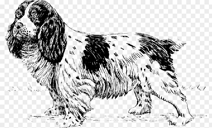 Clip Art Vector Graphics Cocker Spaniel PNG