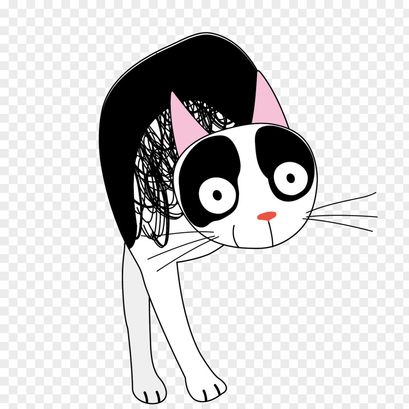 Cute Cat Whiskers Cartoon PNG
