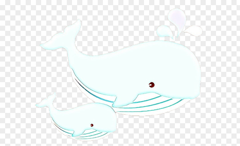 Dolphin Porpoise Clip Art Illustration Marine Biology PNG