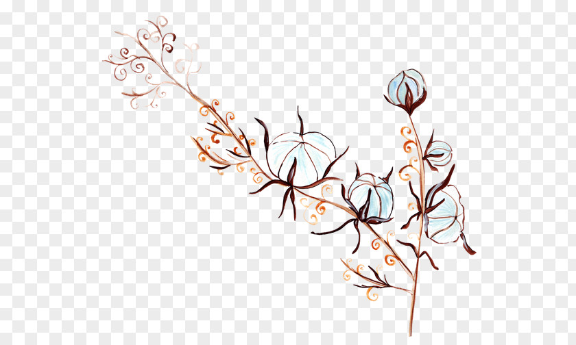 Hand Drawn Flowers Doodle Clip Art Drawing Flower Illustration PNG