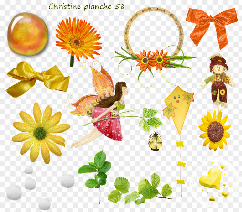 Planche Floral Design Cut Flowers Clip Art PNG