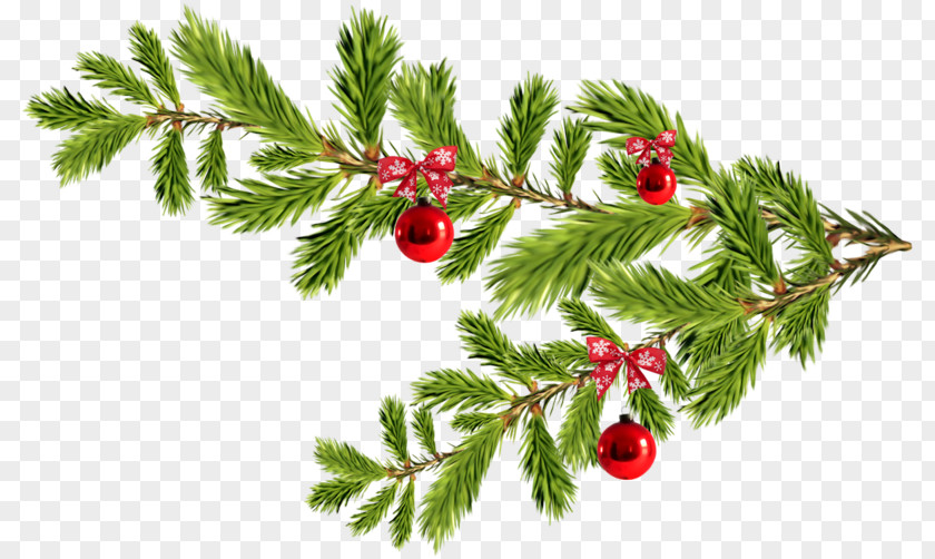 Santa Claus Fir Christmas Ornament Spruce Day Image PNG