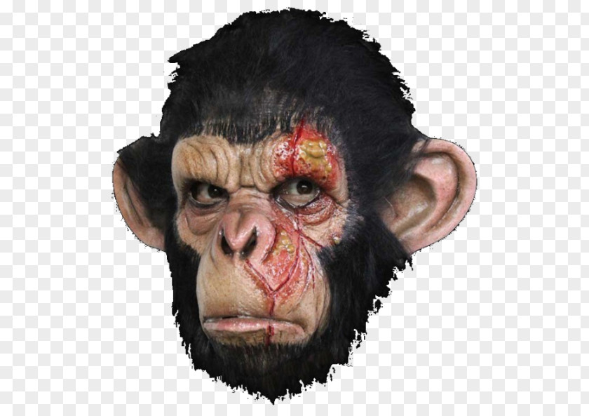 Chimpanzee Ape Gorilla Primate Mask PNG