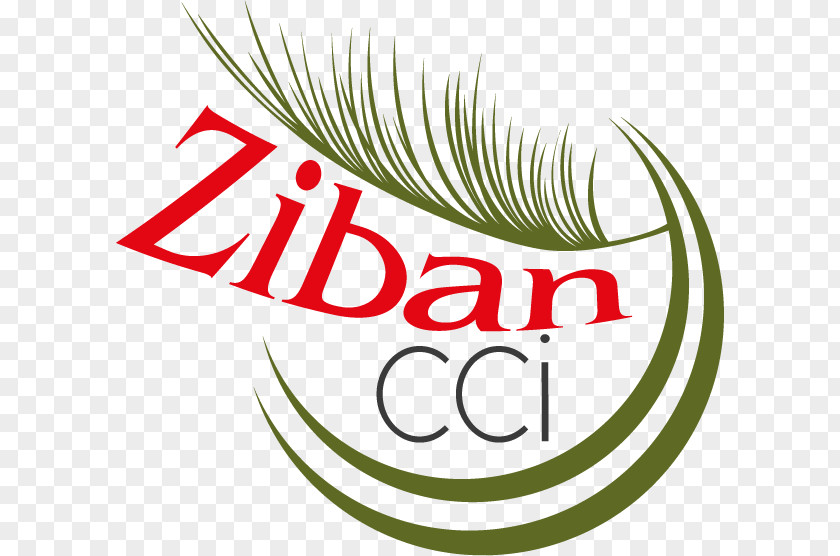 Dates Zibans Direction Du Commerce Chamber Of Trade Industry PNG