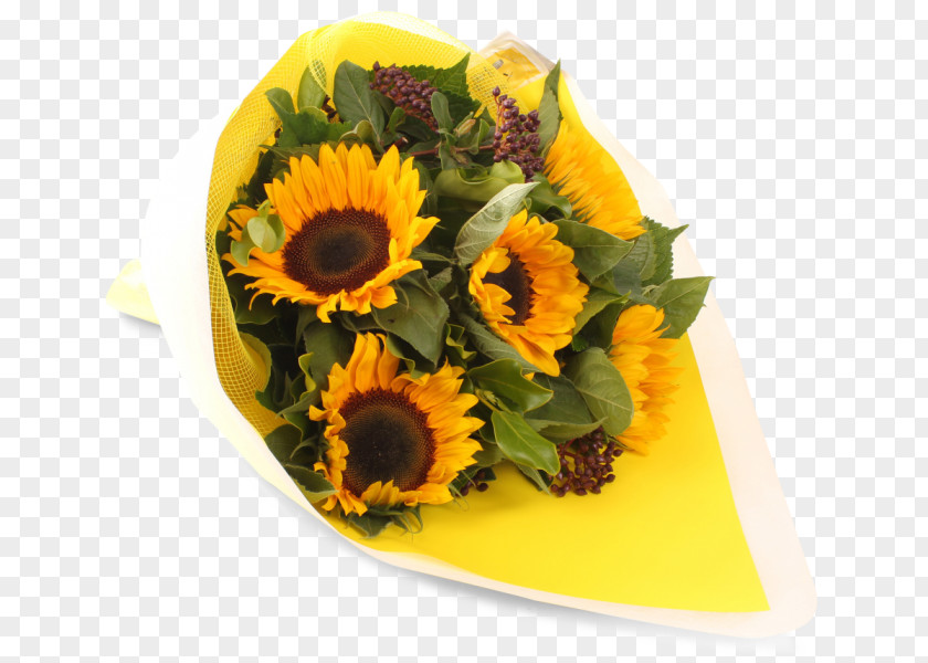 Flower Floral Design Common Sunflower Cut Flowers Seed PNG
