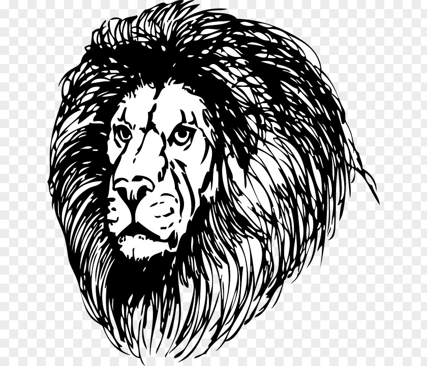 Lion Lionhead Rabbit Drawing Clip Art PNG
