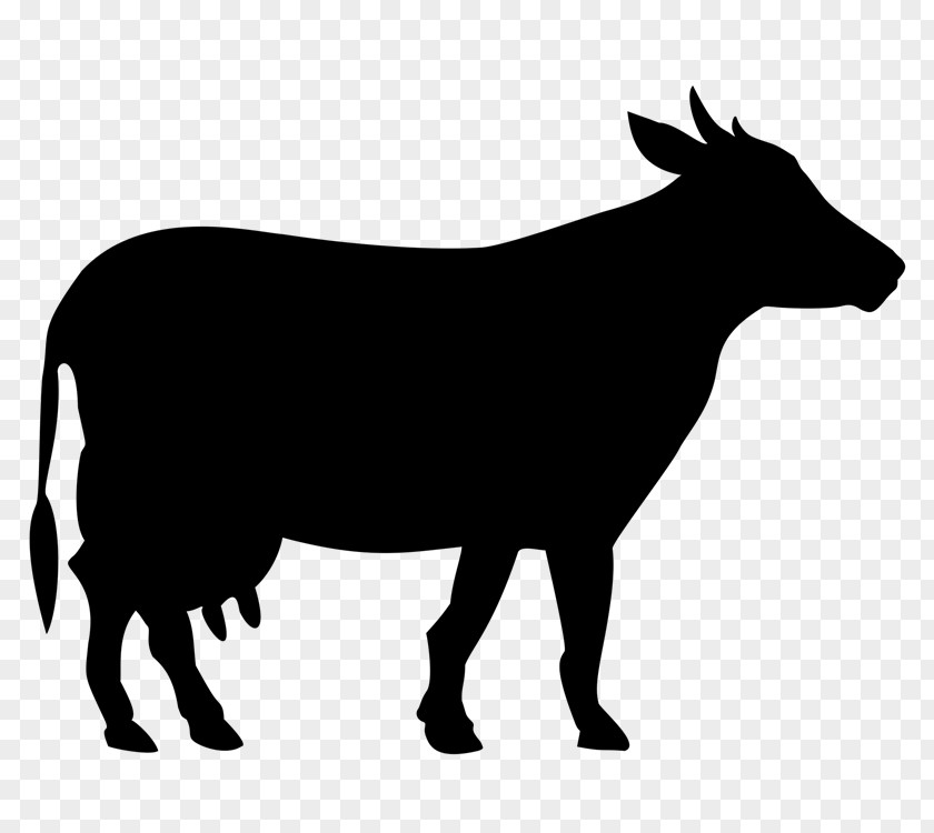 N2 Beef Cattle White Park Sticker Clip Art PNG