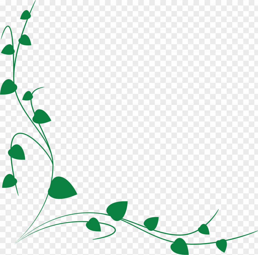 Ornament Vine Plant Stem Clip Art PNG