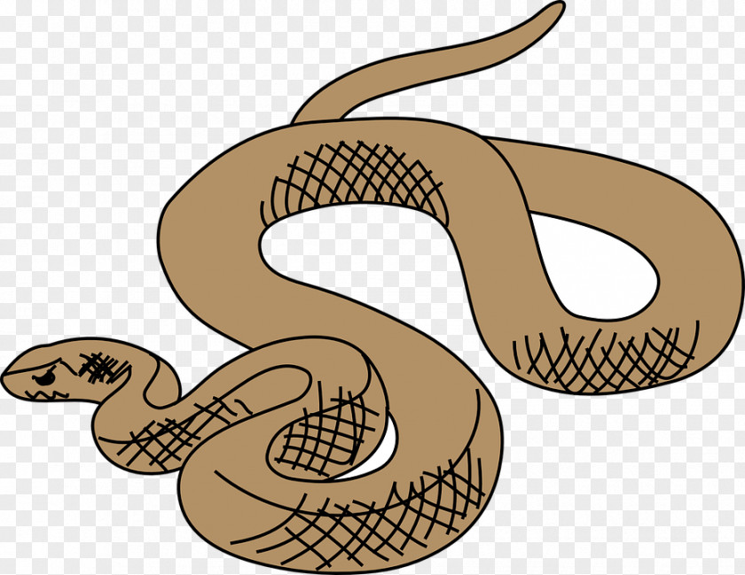 Snake Ball Python Reptile Clip Art PNG