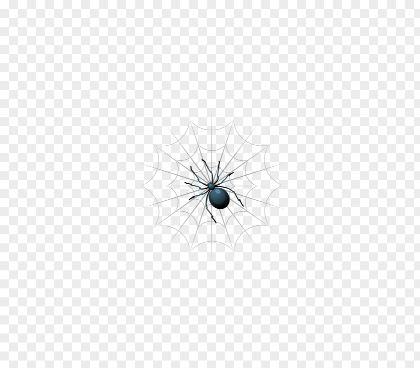Vector Cartoon Spider White Symmetry Black Pattern PNG
