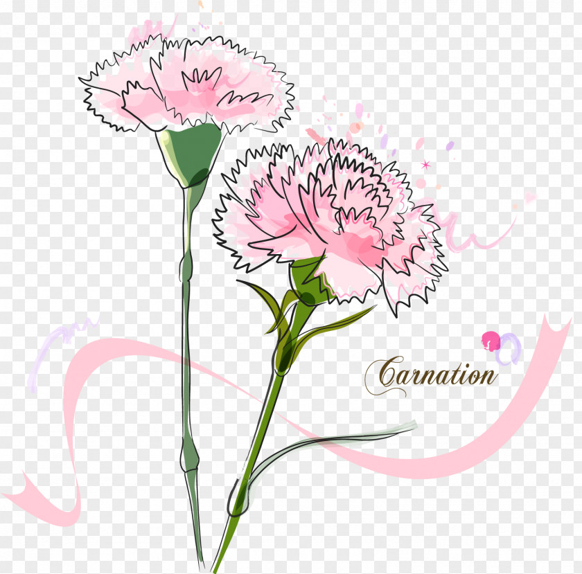Bouquet Of Carnation Madonna The Vector Graphics Image PNG